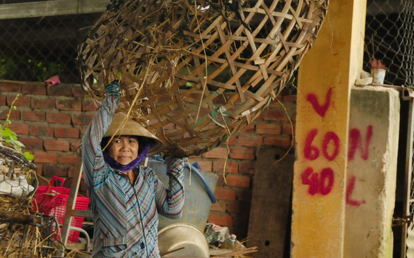 To increase their income, the female piglet porters at the Ba Ren Market in Que Son District, Quang Nam Province, Vietnam also provide baskets and stools for rent. Photo: B.D. / Tuoi Tre