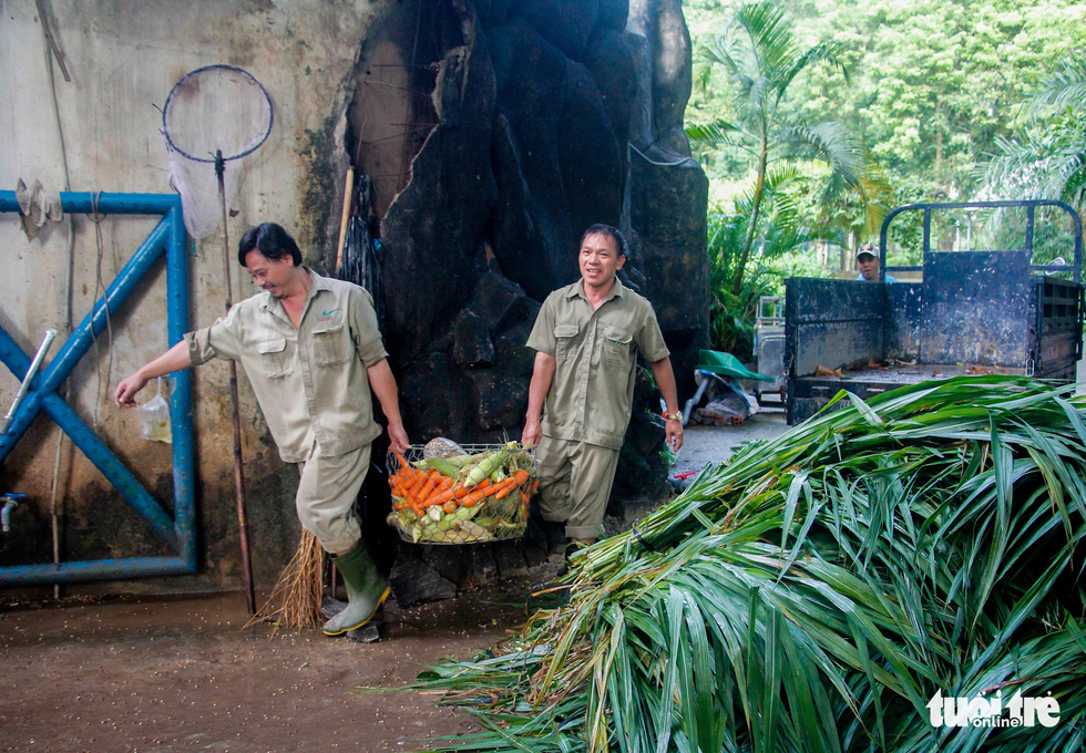 Two staff members carry foods into elephant area at the Saigon Zoo and Botanical Gardens in Ho Chi Minh City’s District 1 on August 7, 2020. Photo: Le Phan/ Tuoi Tre