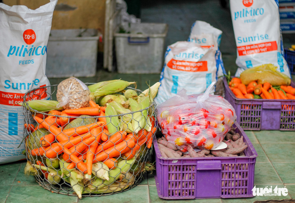 Fresh vegetables are prepared for animals at the Saigon Zoo and Botanical Gardens in Ho Chi Minh City’s District 1 on August 7, 2020. Photo: Chau Tuan/ Tuoi Tre