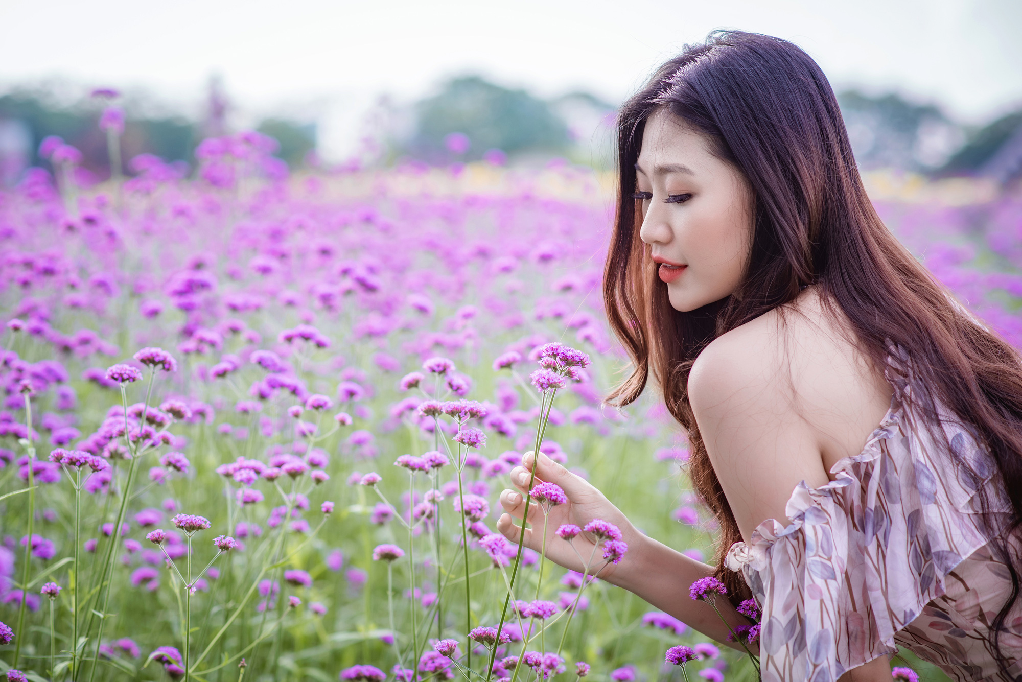 A young woman poses for photos at a purpletop farm at the Long Bien flower plateau in Hanoi, Vietnam. Photo: Pham Tuan / Tuoi Tre