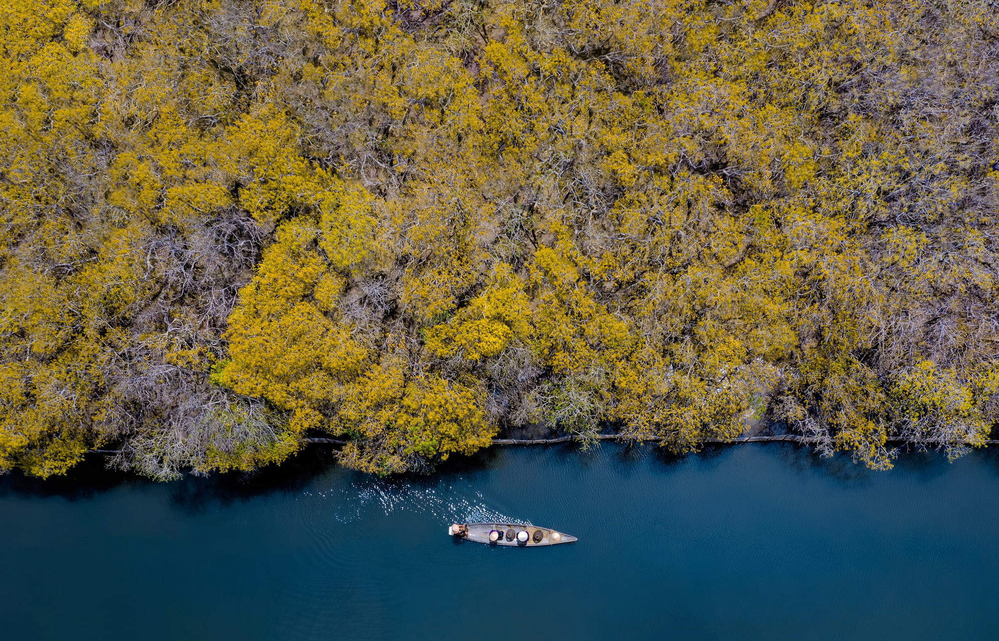 An aerial photo captures a part of Ru Cha mangrove forest ecosystem in Huong Tra District, Thua Thien-Hue Province, Vietnam. Photo: Kelvin Long / Tuoi Tre