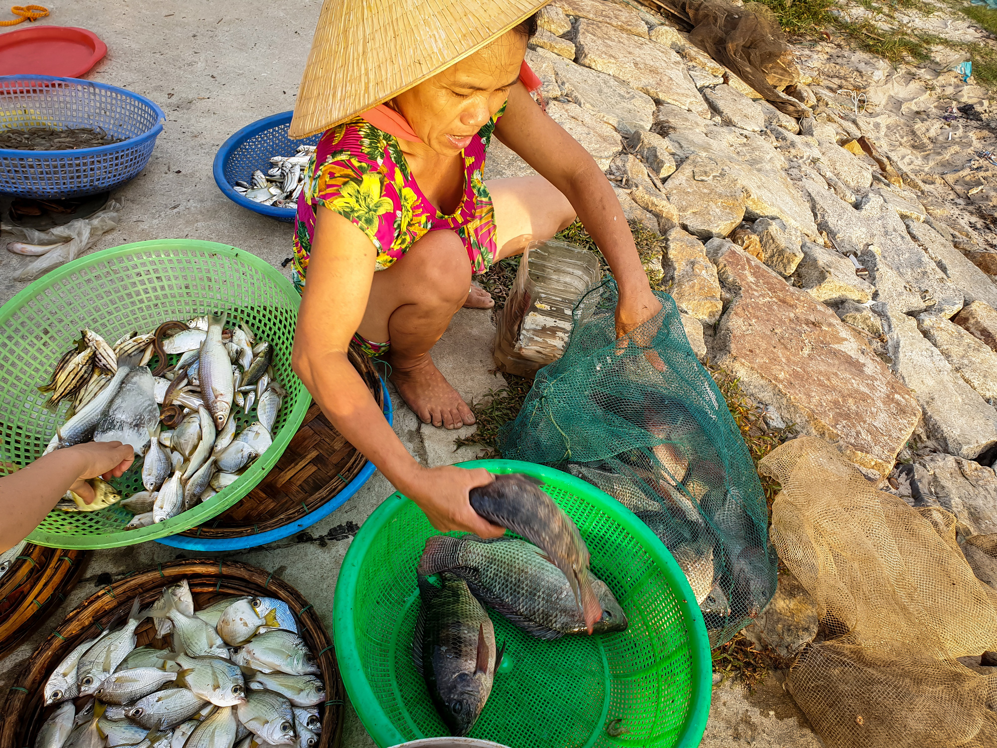 A local woman sells freshly caught fish in the Tam Giang Lagoon area in Thua Thien-Hue Province, Vietnam. Photo: Kelvin Long / Tuoi Tre