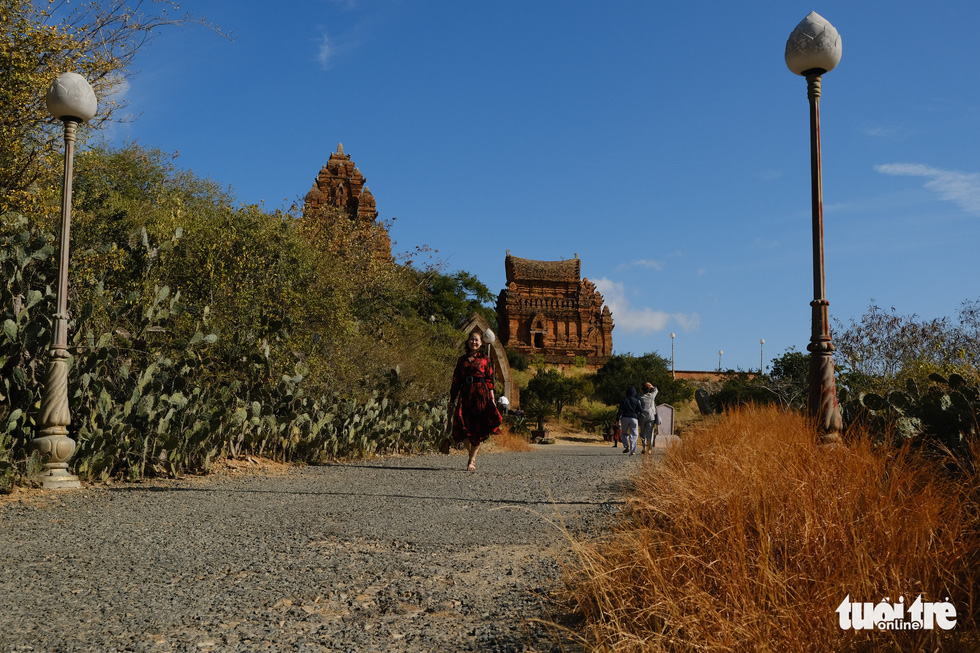 A woman walks on the path leading to the Cham temples sided with cactus plants in Ninh Thuan Province, south-central Vietnam. Photo: Tan Luc / Tuoi Tre
