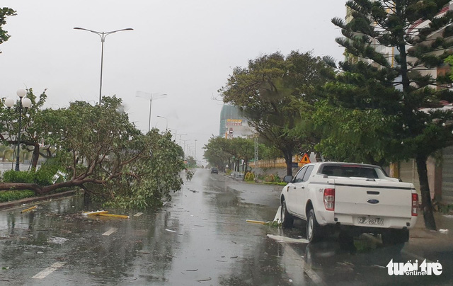 Trees are uprooted in Phu Yen Province, Vietnam, October 28, 2020. Photo: Duy Thanh / Tuoi Tre