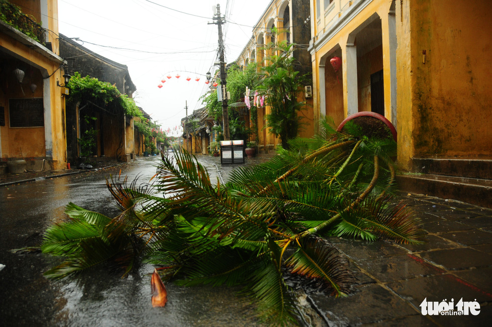 A large tree pot falls onto a street in the center of Hoi An Ancient Town, Quang Nam Province, before Storm Molave makes landfall in Vietnam’s central region, October 28, 2020. Photo: B.D. / Tuoi Tre