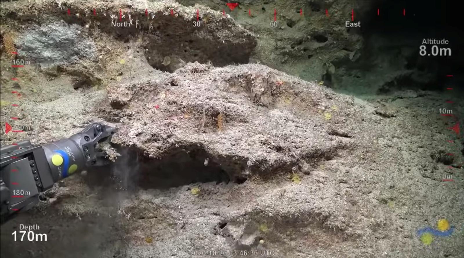 A robotic arm takes rock samples from a 500-metre-tall coral reef discovered by Australian scientists, off Australia's Great Barrier Reef, in this still image taken from video provided on social media, October 25, 2020. Mandatory credit Schmidt Ocean Institute/via Reuters