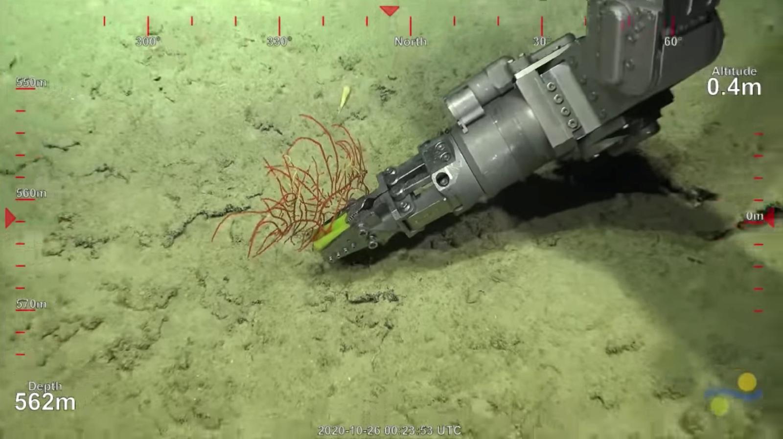 A robotic arm takes a sample from a 500-metre-tall coral reef discovered by Australian scientists, off Australia's Great Barrier Reef, in this still image taken from video provided on social media, October 25, 2020. Mandatory credit Schmidt Ocean Institute/via Reuters