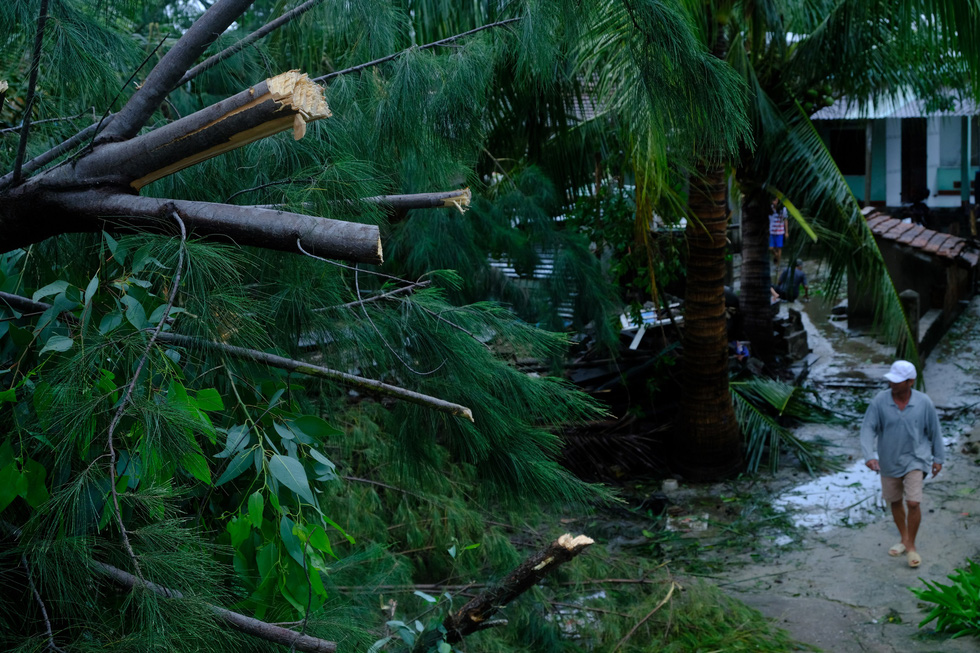 Trees fall on a road leading to a village of floating raft restaurants in Binh Son District, Quang Nam Province, October 28, 2020. Photo: Tran Mai / Tuoi Tre
