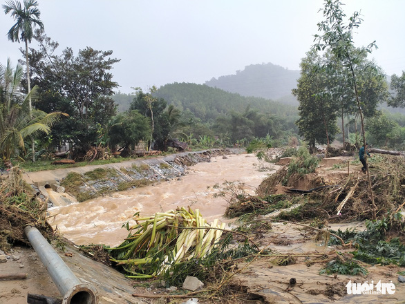 Trees are uprooted while electricity and water systems are destroyed in Vinh Kim Commune, Vinh Thanh District, Binh Dinh Province. Photo: Tan Thanh/Tuoi Tre