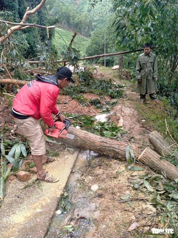 Residents in Vinh Kim Commune, Vinh Thanh District, Binh Dinh Province saw falling trees to clear the way. Photo: Tan Thanh/Tuoi Tre