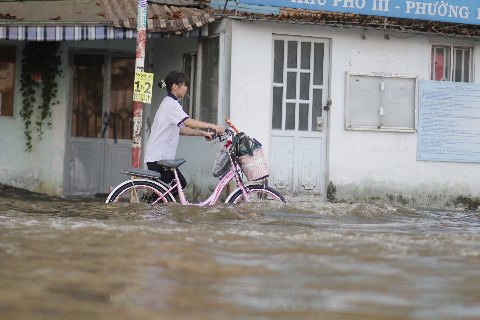 A student pushes her bicycle along a flooded street in Ho Chi Minh City, November 16, 2020. Photo: Kim Ut / Tuoi Tre