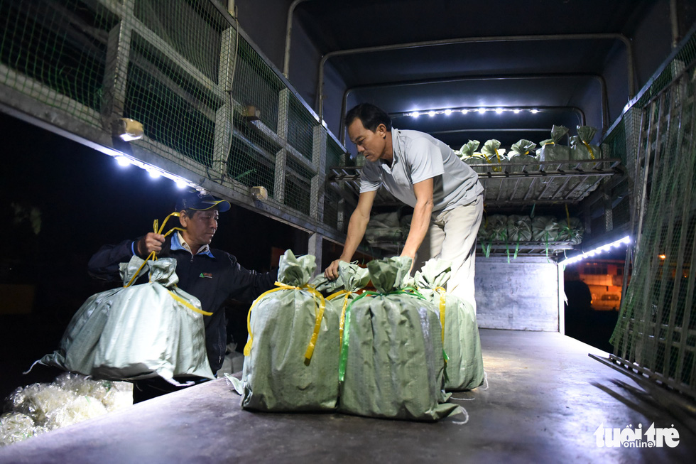 Ho Chi Minh City’s signature insect market breaks night silence