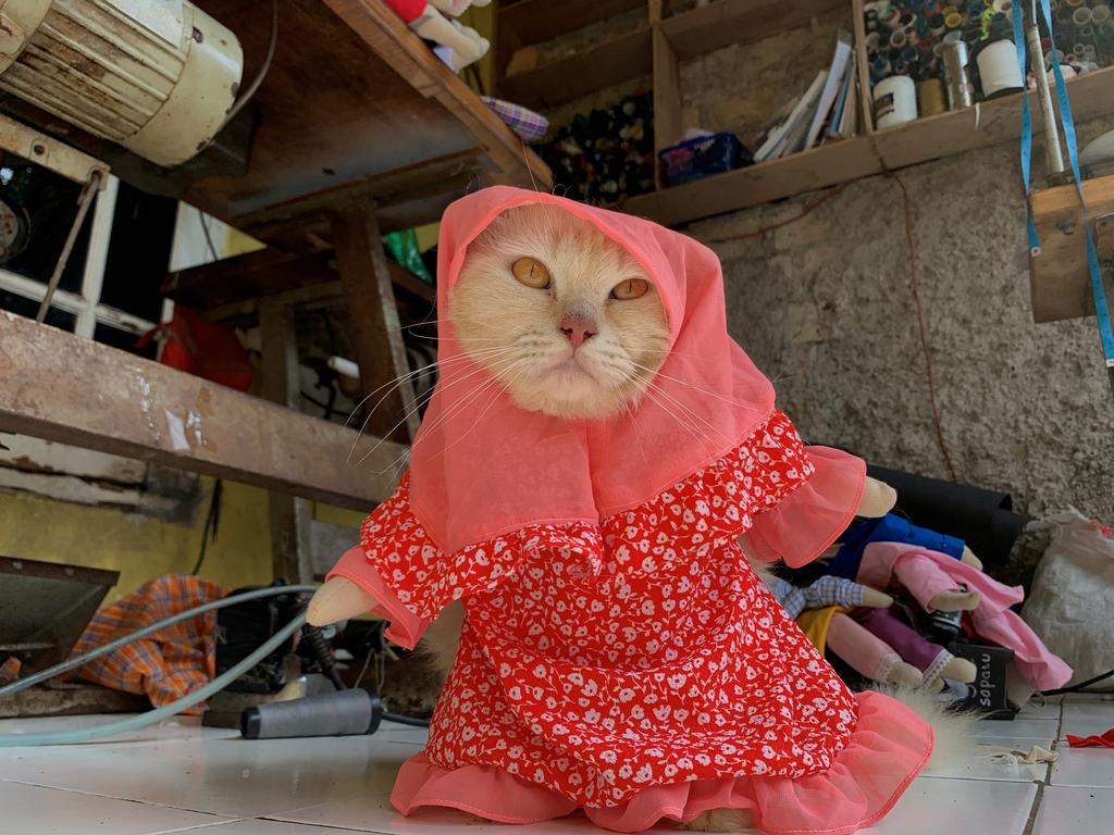 From hijabs to cosplay, Indonesian finds calling in cat fashion makeovers