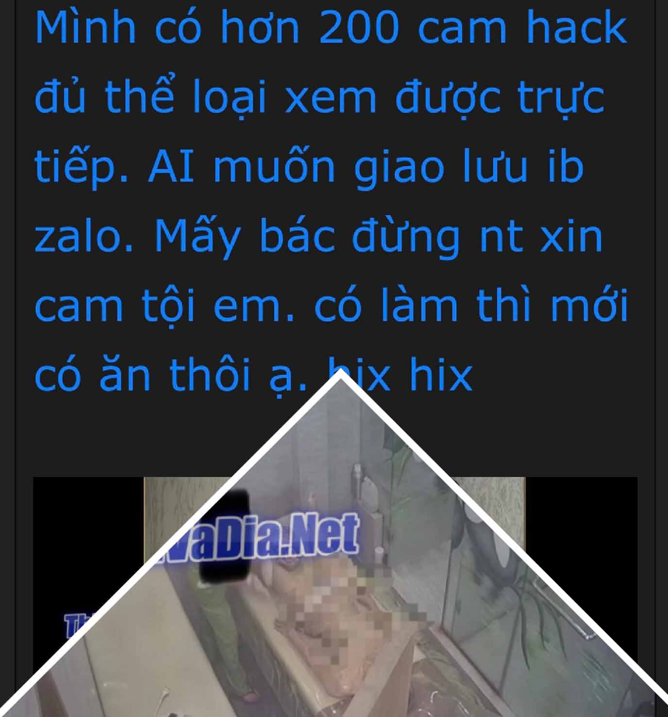 An anonymous account claims on a dark web forum that he has video footage from more than 200 CCTVs at spas and beauty salons in Hanoi in this screenshot.