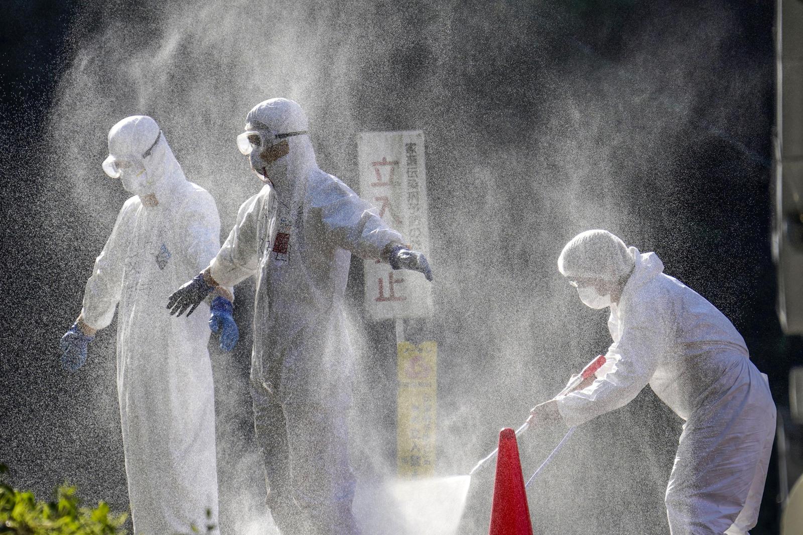 Bird flu spreads to 10th Japanese prefecture