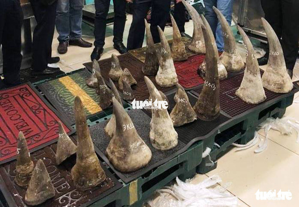 Large shipment of suspected rhino horns discovered in Ho Chi Minh City airport’s warehouse