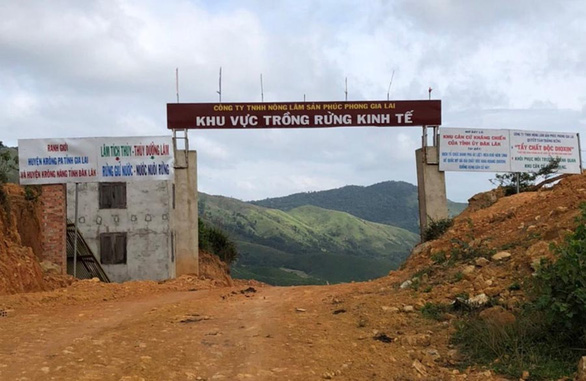 Afforestation company chairman nabbed for deforestation in Vietnam’s Central Highlands