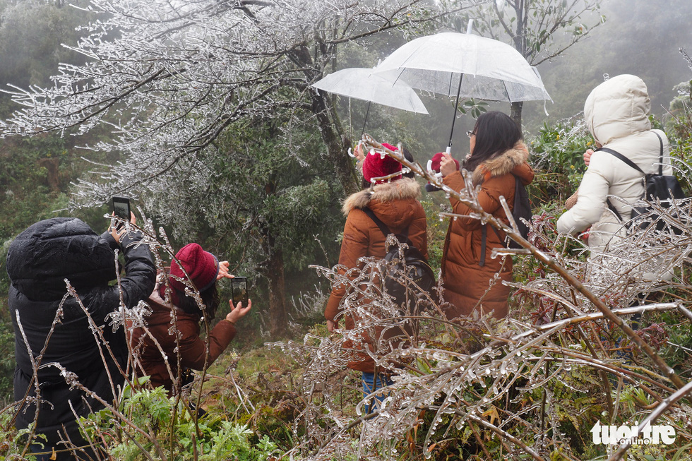 Cold spells blanket northern Vietnam’s mountains in rarely seen frost