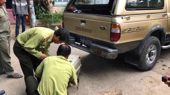 Ho Chi Minh City tranquilizes rampaging monkeys