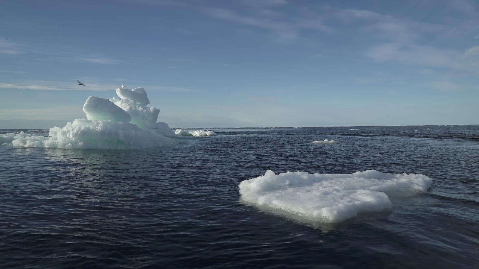 Earth is losing ice faster today than in the mid-1990s, study suggests
