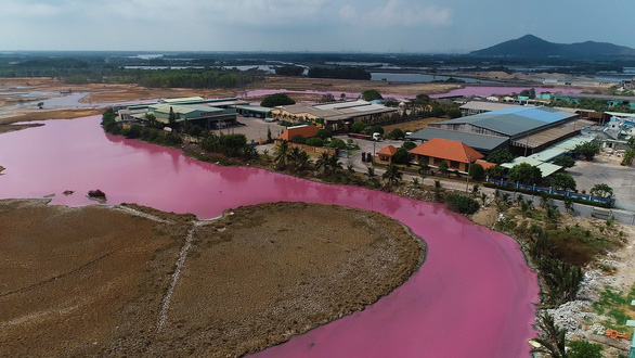 Locals baffled as reservoir in southern Vietnam turns pink with nauseating odors