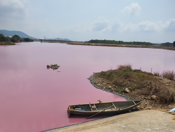 The lagoon that connects to the sewer gate no. 6 at Tan Hai Commune of Phu My Town in Ba Ria – Vung Tau Province turns pink, April 1, 2021. Photo: Dong Ha / Tuoi Tre
