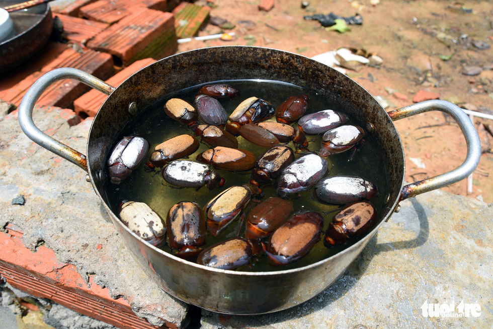 Small Steel Burn Bin Hoi Vietnam Stock Photo 1691870377