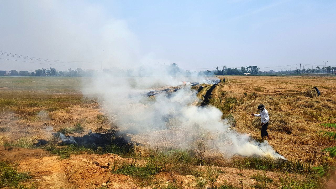A farmer burns straw in the paddy field bordering Hue City and Huong Thuy Town in Thua Thien - Hue Province, Vietnam, May 9, 2021. Photo: Minh An / Tuoi Tre