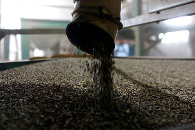 Vietnam April coffee exports down 22.1% m/m, rice up 45.1%