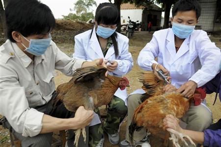China reports human case of H10N3 bird flu