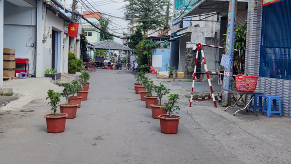 Twelve apple trees are ‘waiting' to be fetched by 12 households in Tan Hung Thuan Ward, District 12 in a supplied photo.
