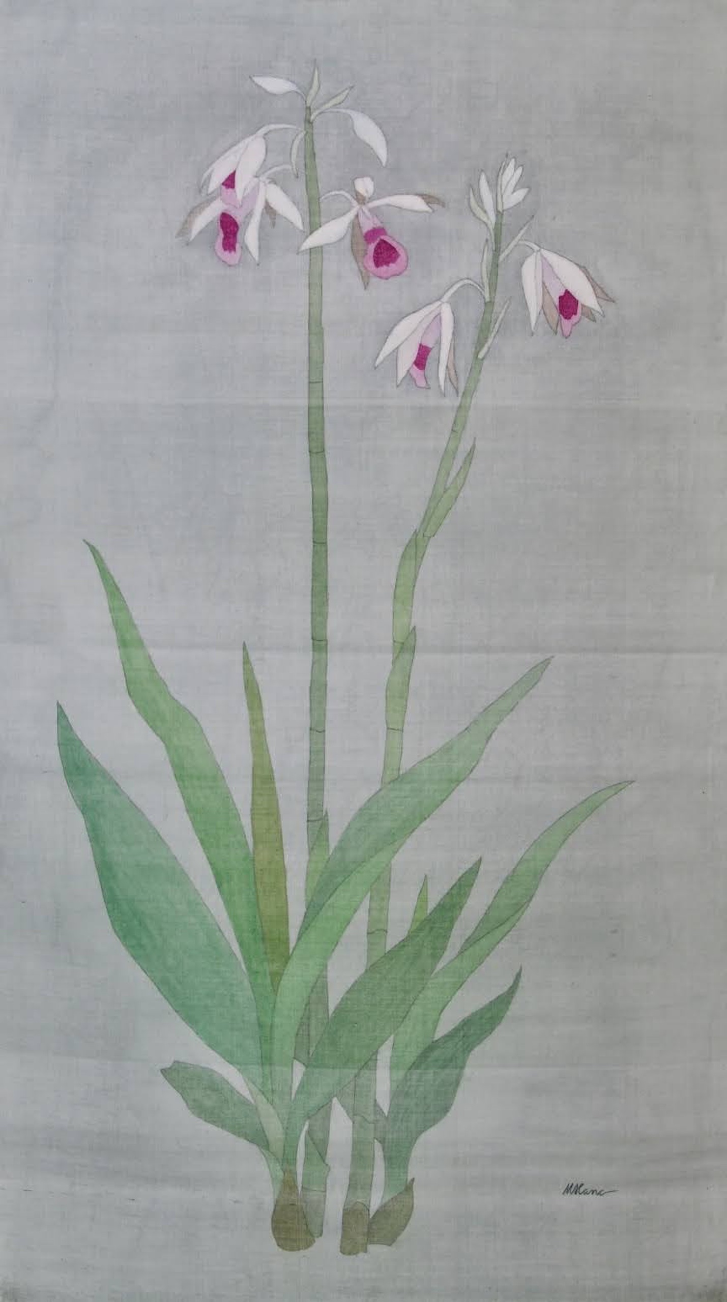 Paphiopedilum, silk painting, 68cmx120cm by the artist Hoang Minh Hang in a supplied photo.