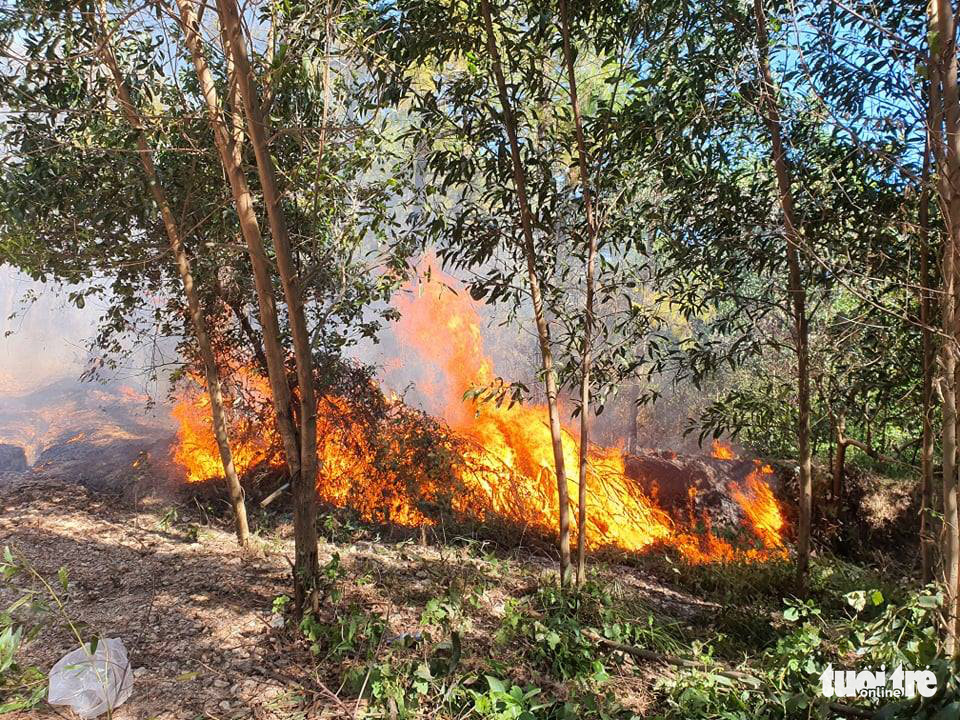 A forest fire in Huong Thuy Town, Thua Thien-Hue Province, Vietnam, June 28, 2021. Photo: Phuoc Tuan / Tuoi Tre