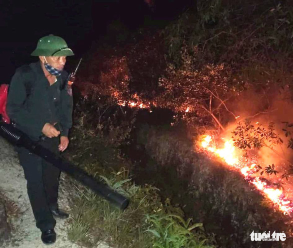 Midnight forest fire consumes one hectare of pine forest in Vietnam