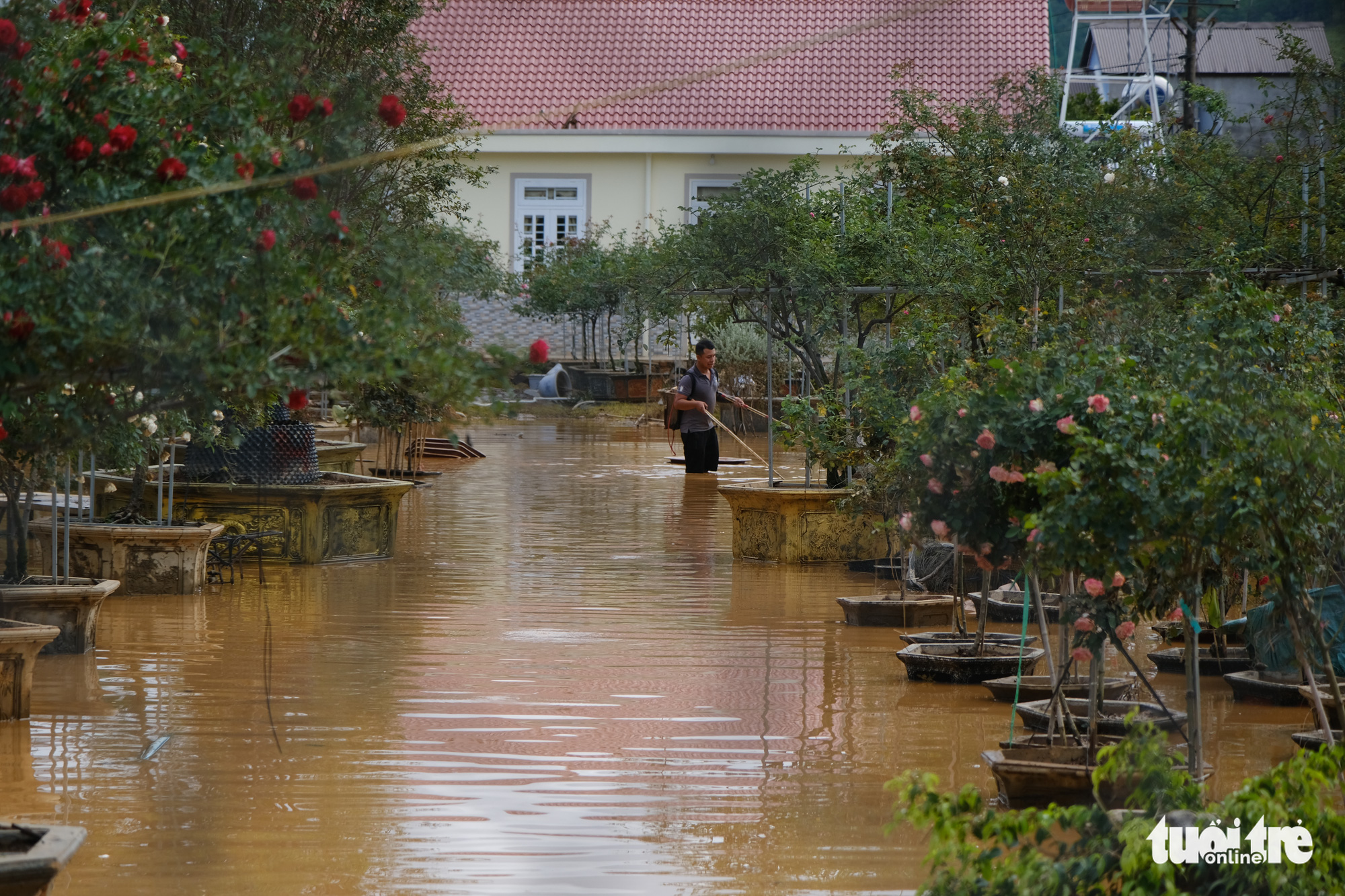 A man nets fish in his flooded garden in Duc Trong District, Lam Dong Province, Vietnam, July 9, 2021. Photo: M. Vinh / Tuoi Tre