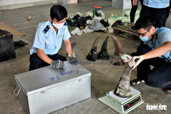 Vietnamese customs seize large shipment of suspected rhino horns, wildlife bones