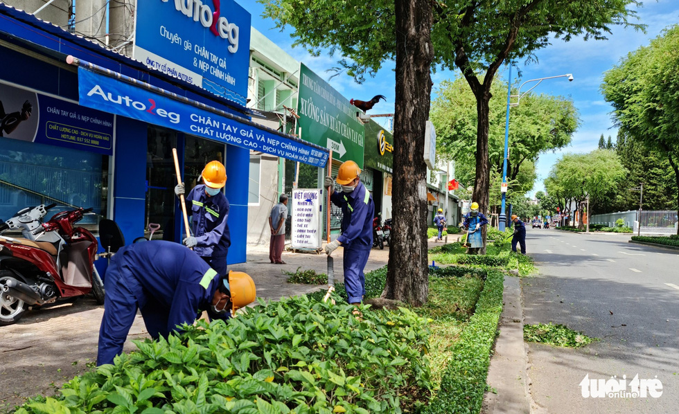 Landscapers trim lawns and shrubs on Ba Huyen Thanh Quan Street, District 3, Ho Chi Minh City. Photo: Cong Trieu / Tuoi Tre