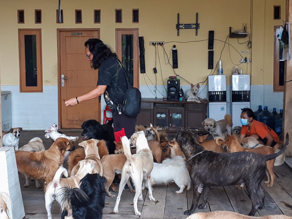 A founder of the Animal Defenders, Doni Herdaru Tona, feeds rescued dogs at their shelter in Parung, Bogor, West Java province, Indonesia, August 9, 2021. Picture taken August 9, 2021. Photo: Reuters