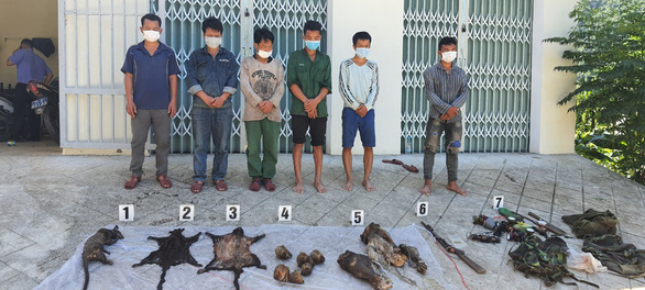 Six held for killing wild animals in Vietnam national park | Tuoi Tre News