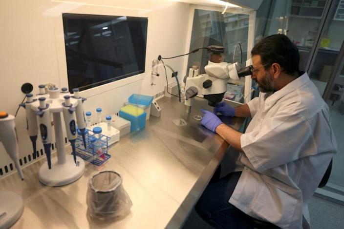 Dr. Nisar Ahmad Wani, Scientific Director of the Reproductive Biotechnology Center, examines a sample through a microscope at the centre's laboratory in Dubai on June 4, 2021. Photo: AFP