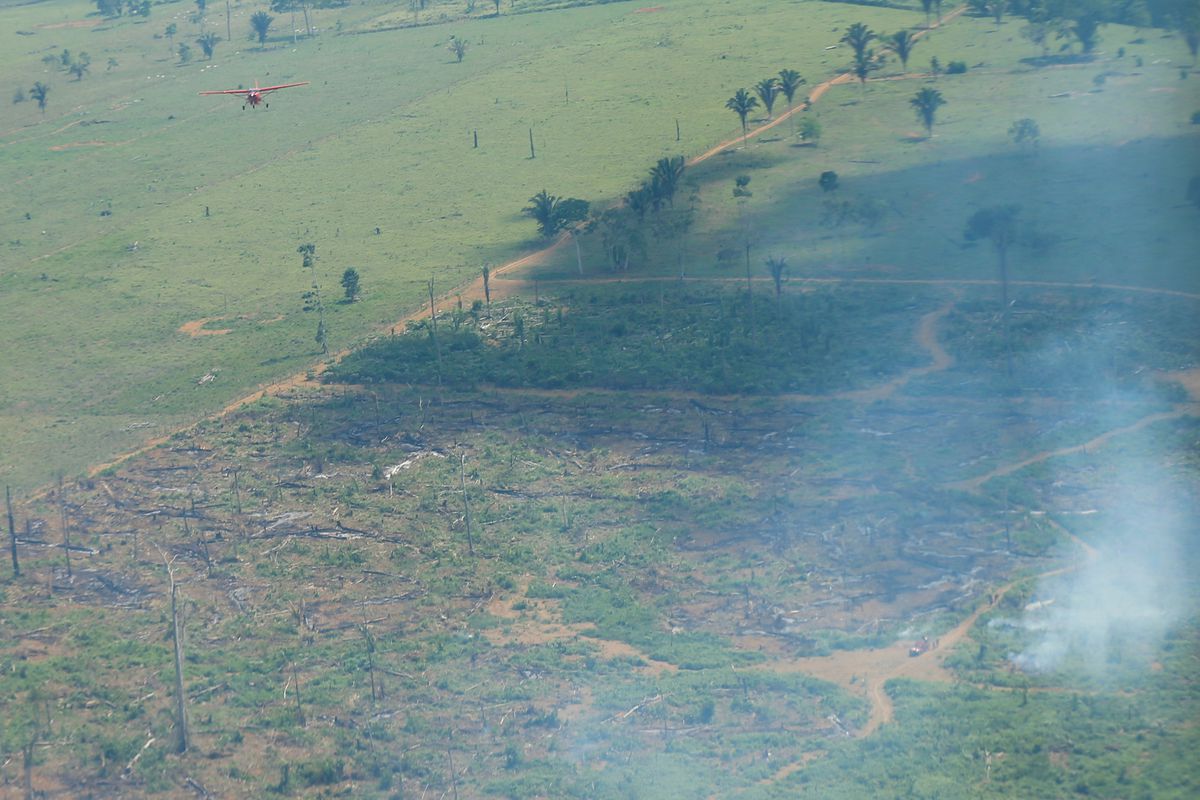 Fires in the Brazilian Amazon retreat in September