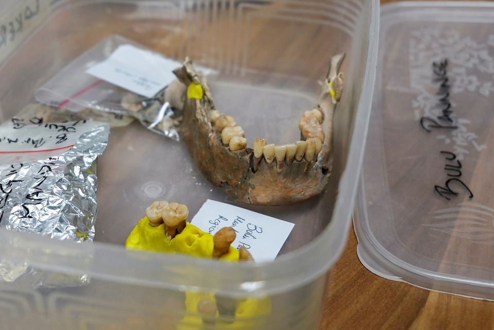 Parts of Besse's ancient skeleton that was unearthed from Leang Paningge cave are pictured inside a box at the archaeological laboratory of Hasanuddin University in Makassar, South Sulawesi province, Indonesia, September 18, 2021. Photo: Reuters