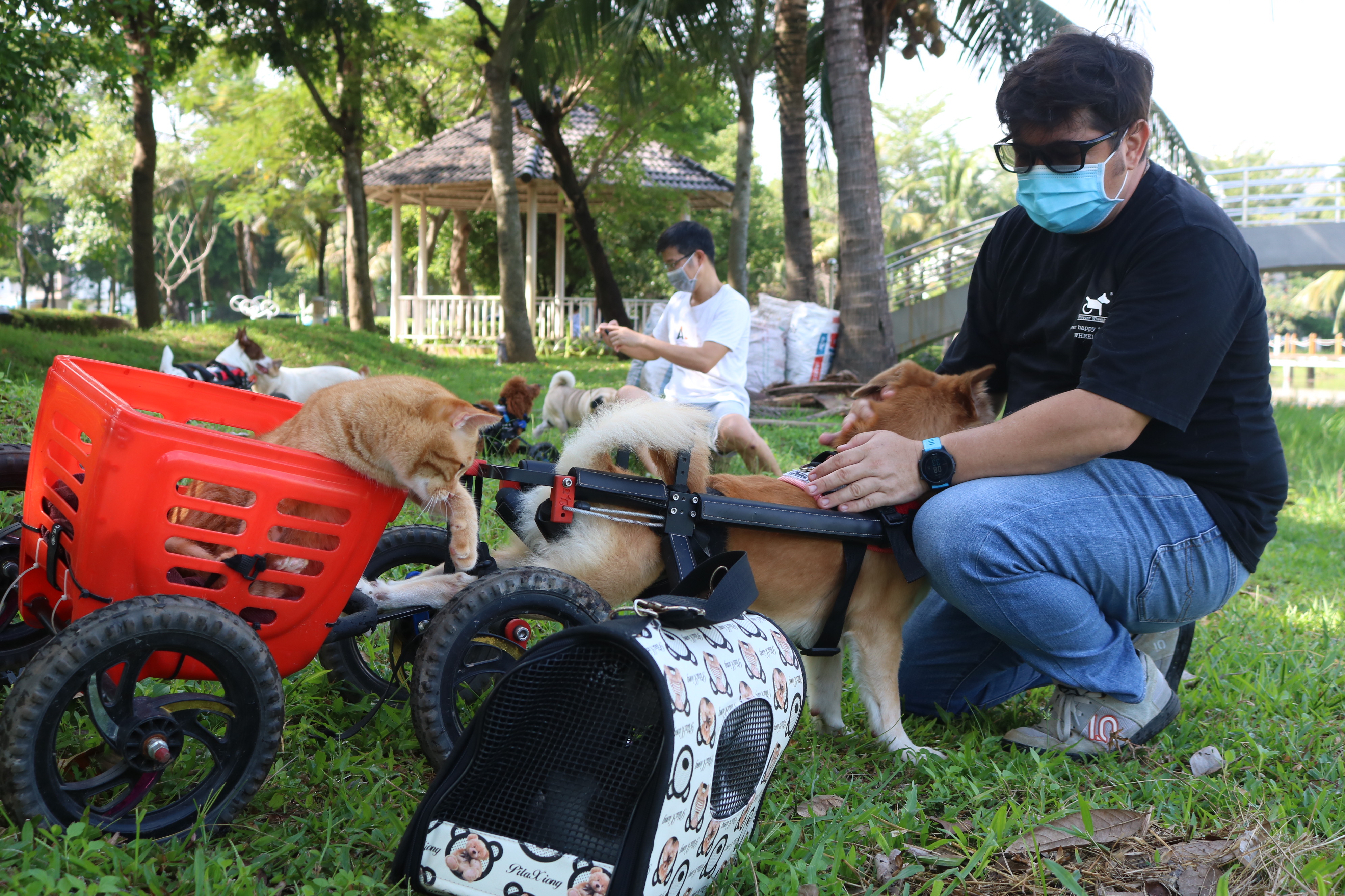 Oscar Fernando Ruiz Bonilla plays with his pets at a park near his house in Ho Chi Minh City’s District 9 on October 19, 2021. Photo: Hoang An / Tuoi Tre