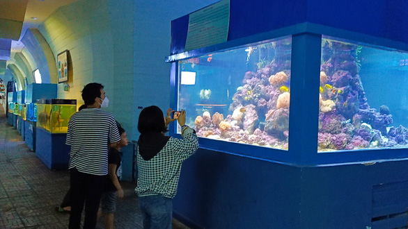 A family watch a rare purple king crab on display at Nha Trang’s Oceanographic Museum in Khanh Hoa Province, Vietnam. Photo: Minh Chien / Tuoi Tre