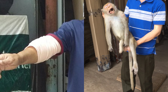 One-footed monkey attacks residents in Ho Chi Minh City