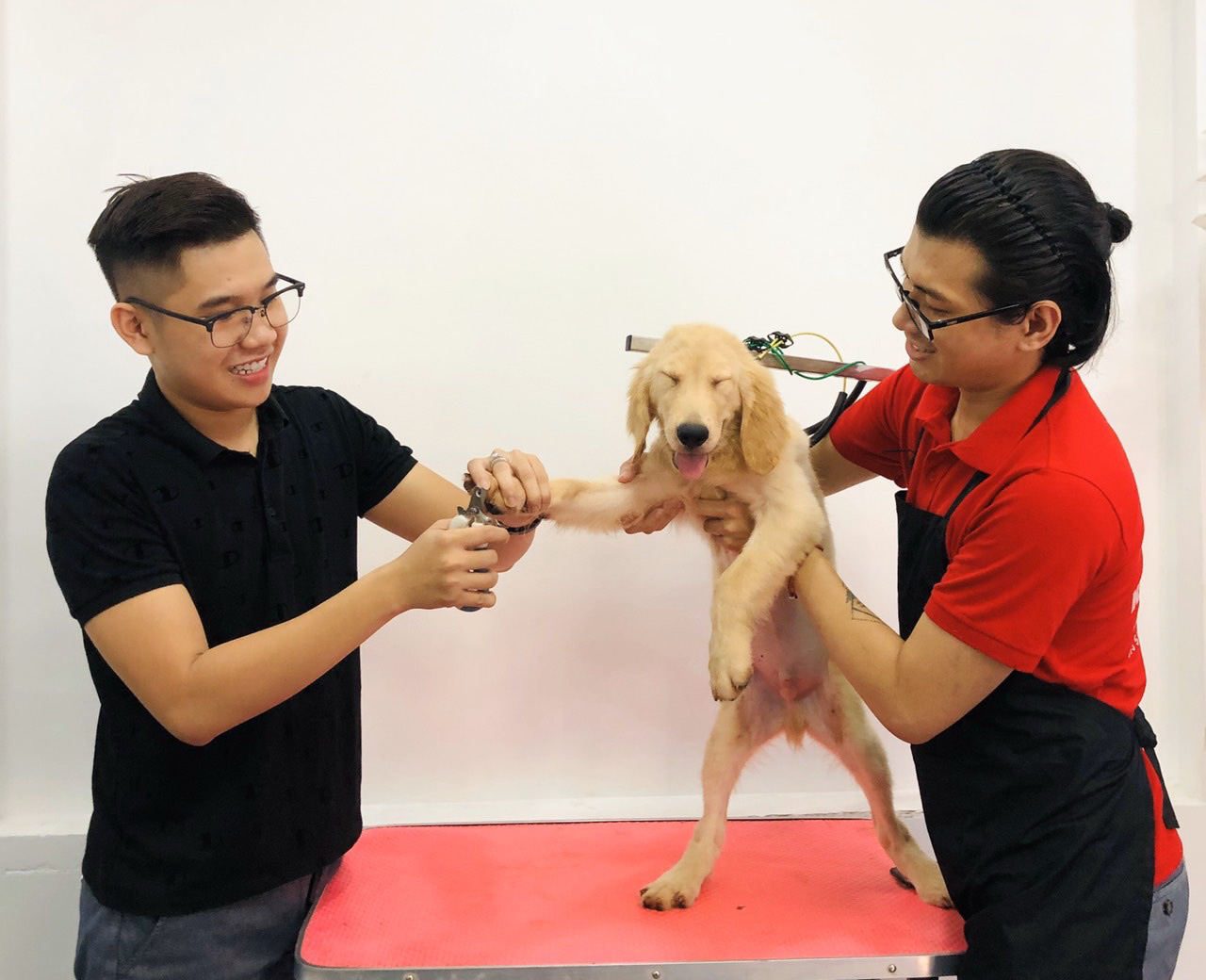 Ho Chi Minh City youth treat pets as family members