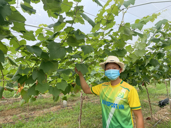 Young Vietnamese farmers thrive in homeland with Israeli agriculture techniques