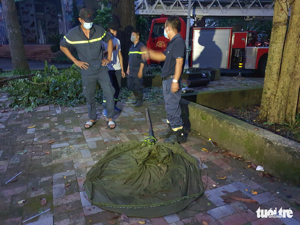 Rescuers work to get rid of a bumblebee hive at the Saigon Zoo and Botanical Gardens in District 1, Ho Chi Minh City, November 23, 2021. Photo: Minh Hoa / Tuoi Tre