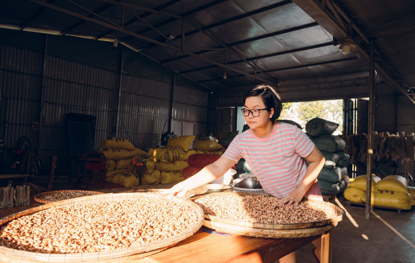 Thu sorts out raw peanuts from permaculture farms for her cold-pressed oil factory. Photo: Chau Tan / Tuoi Tre