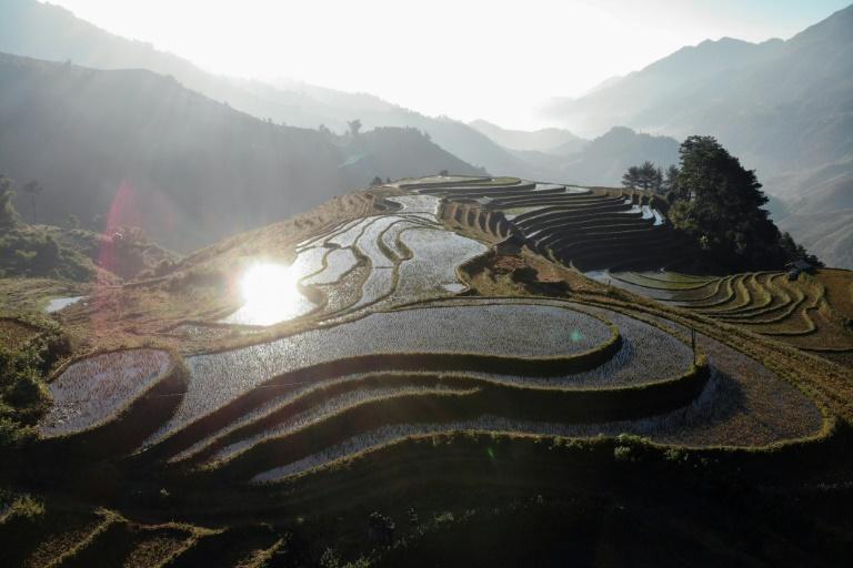 Vietnam's spectacular terraced ricefields. Photo: AFP